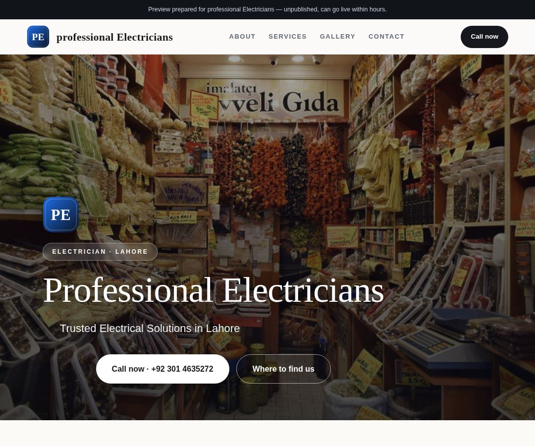 professional Electricians