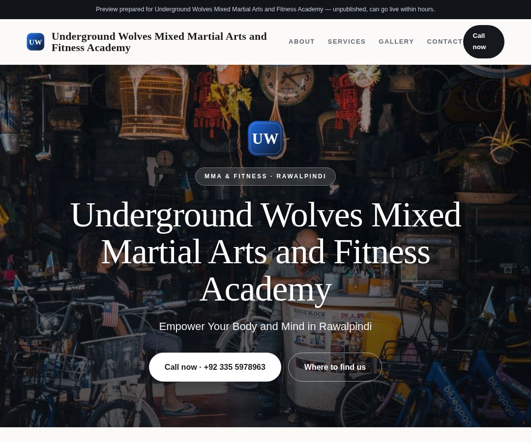 Underground Wolves Mixed Martial Arts and Fitness Academy